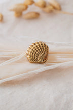 Cache bouton - Coquillage